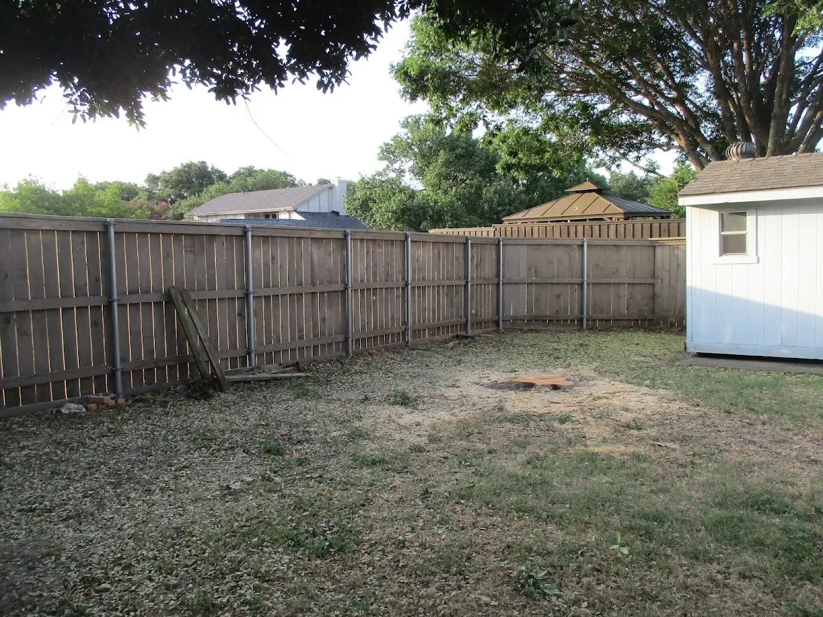 Cleared yard after professional tree removal in Hooven